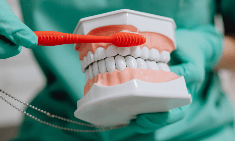 Understanding what causes bleeding gums can help you take the right steps toward improving your oral health.